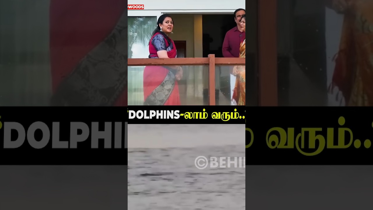 "Dolphins லாம் வரும்.. "🤩🥰