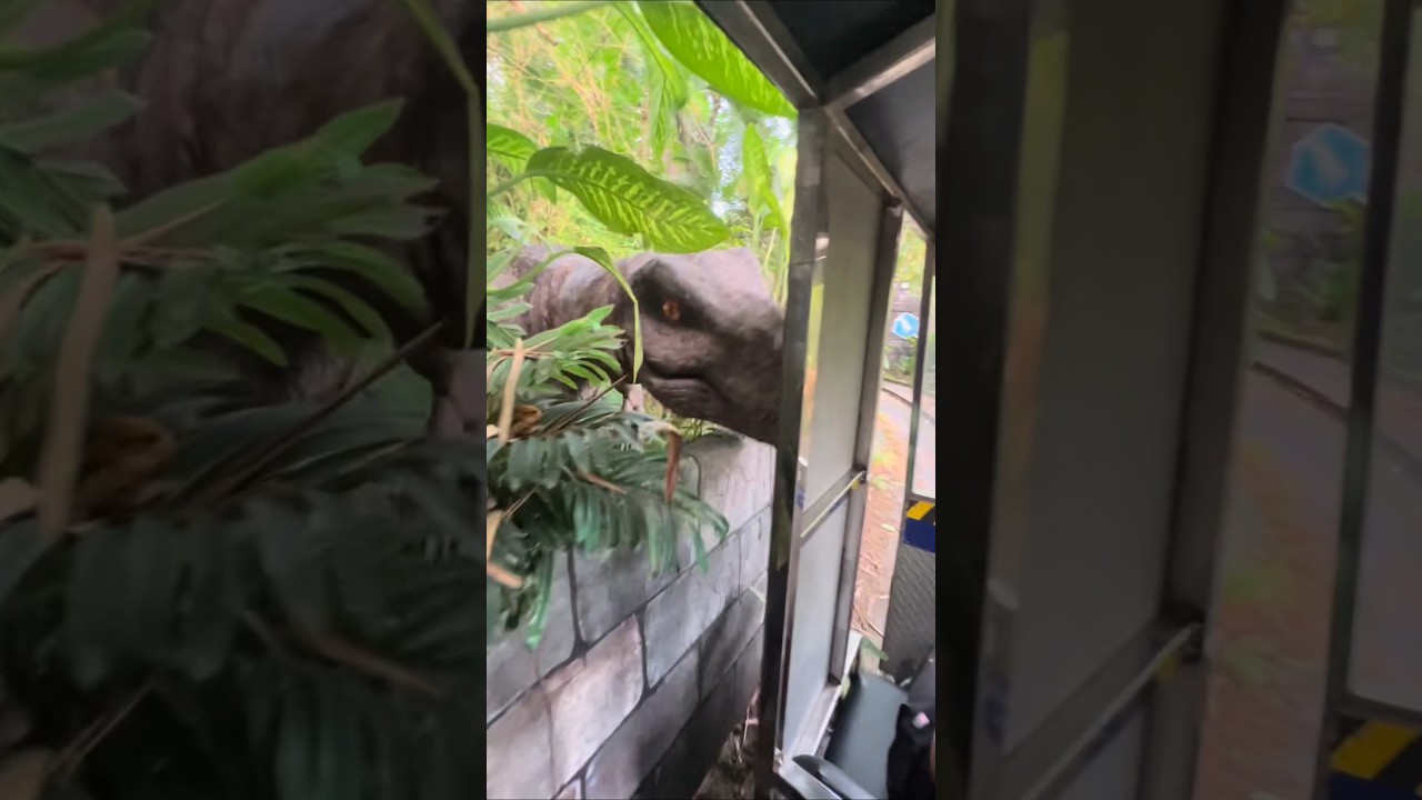 A tense moment at the Dinosaur Park