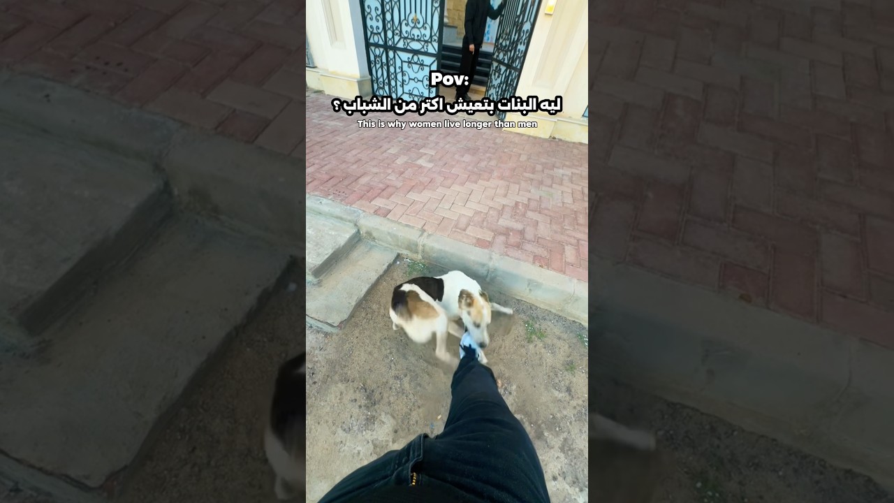 دا كان غلطي😰🤦🏻