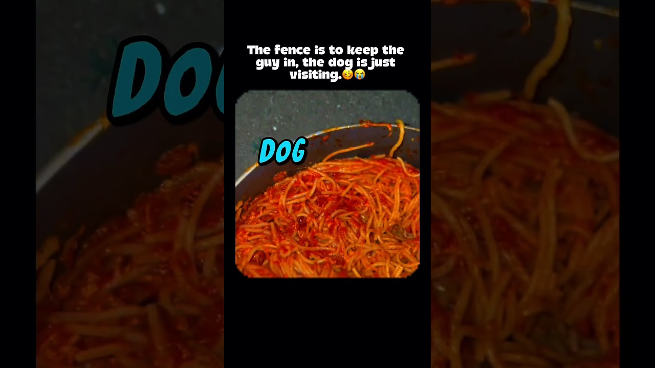 Sketti dawg🥴😭