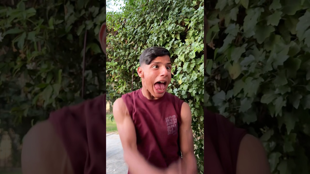 اخرس يحكي واطرش يسمع:🤣