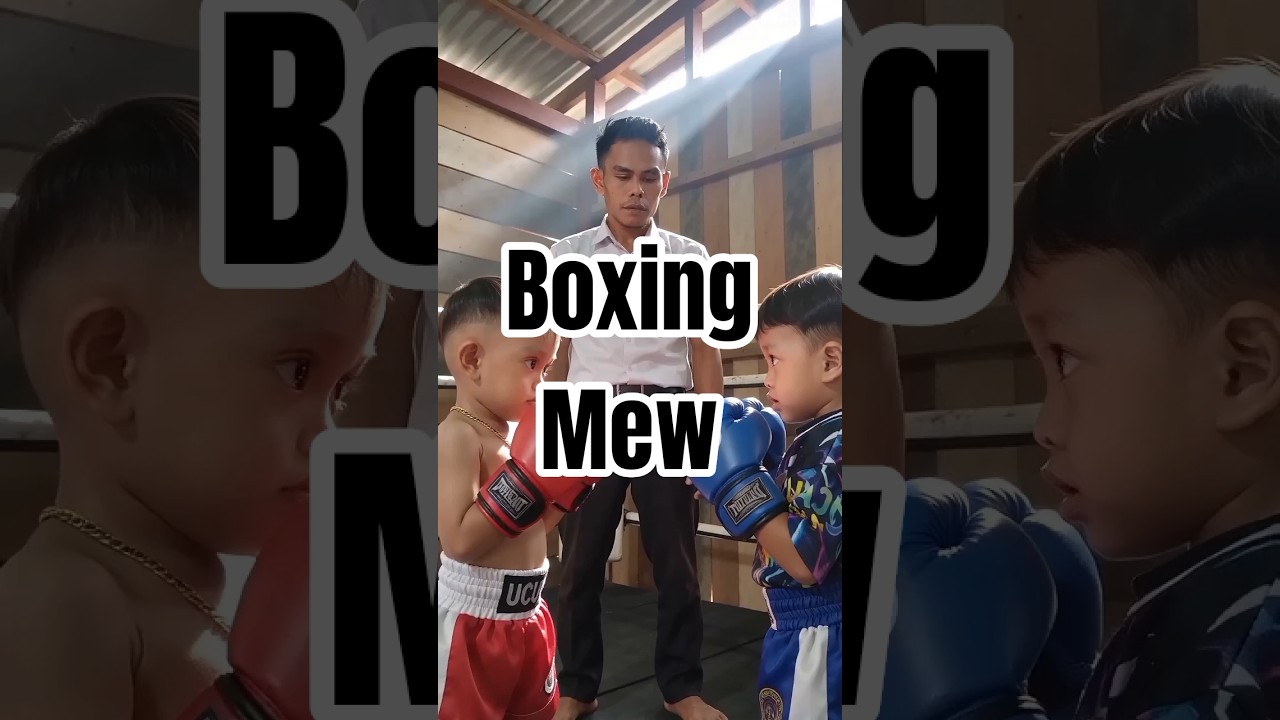 Boxing Mew #funny #comedy