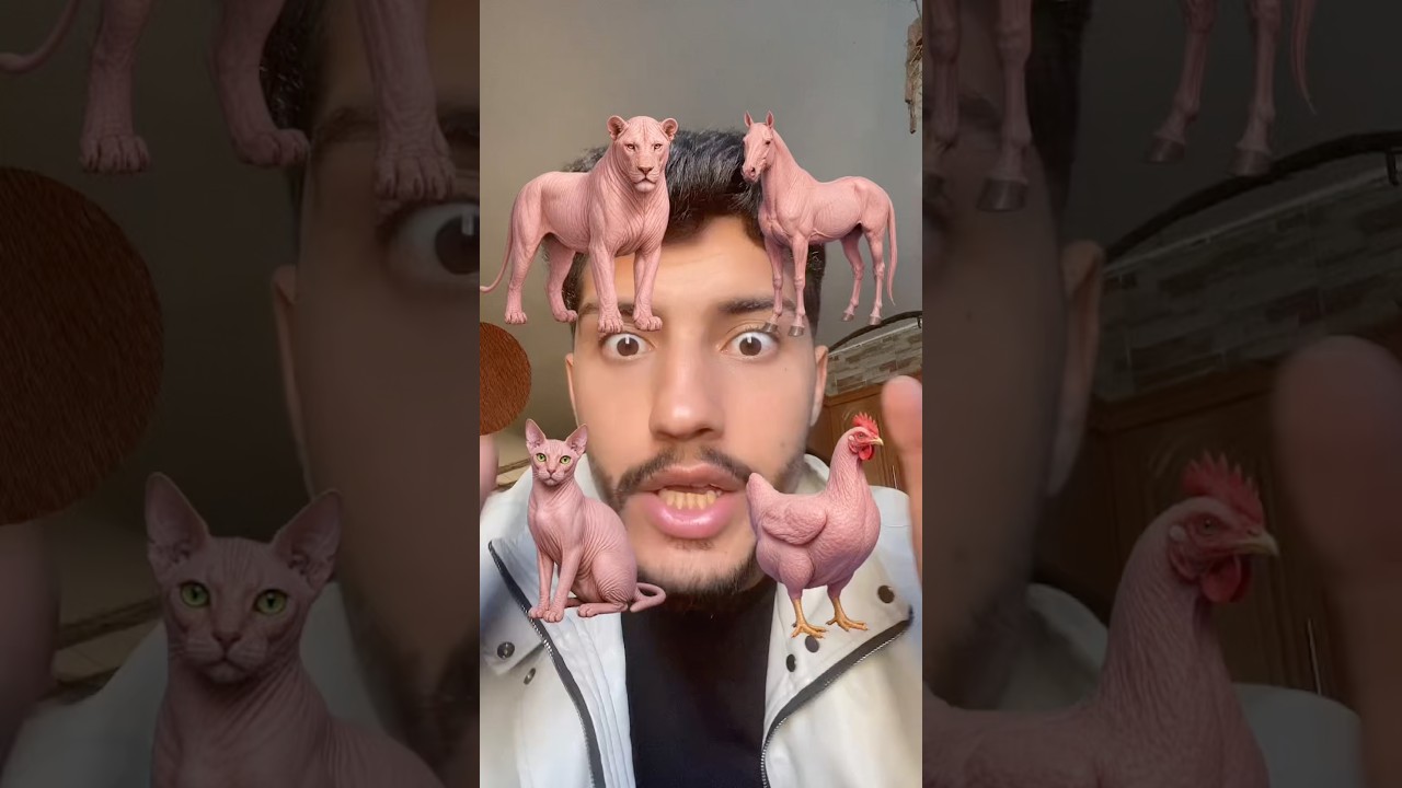 فلتر تلبيس الحيوانات 😂