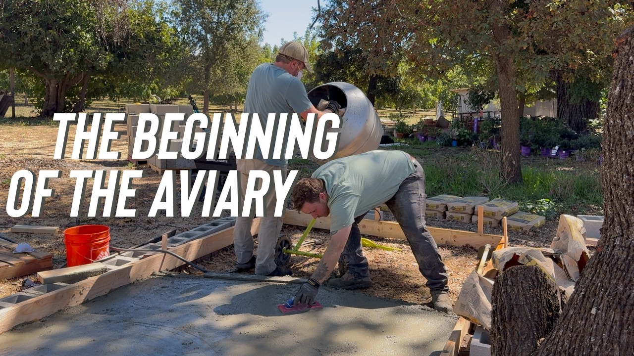 Starting On The Aviary:  Is It Perfect? Absolutely Not. Will It Work? Yes.