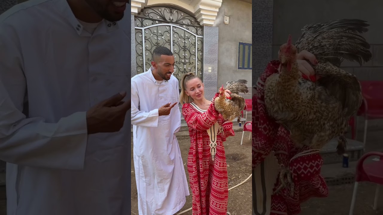 دى نتيجة لما تجوز اجنبية و تقولها اعملى شوربة فراخ 😂🤣