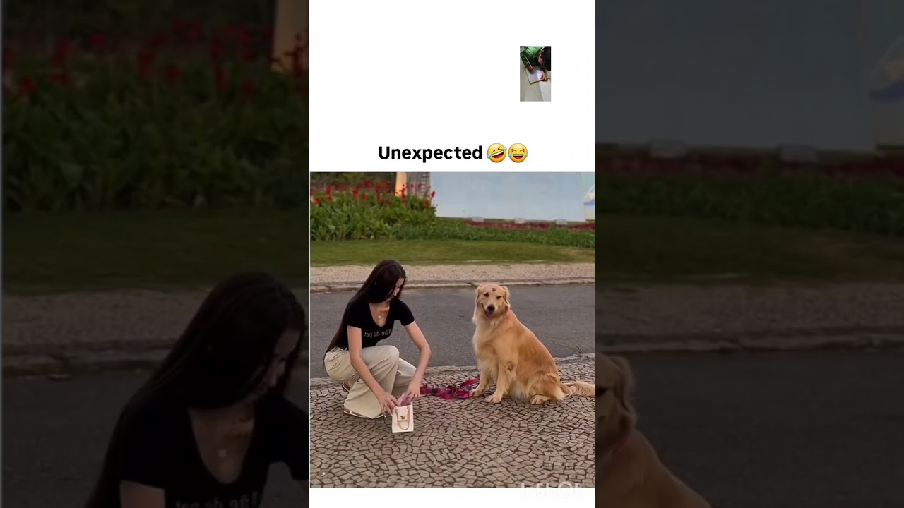 ..