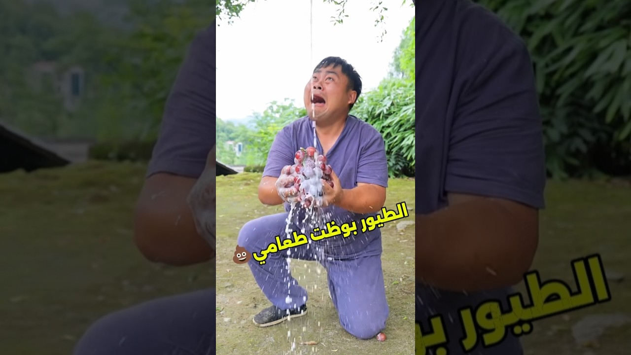 الحقوني 😡😵‍💫 الطيور بوظت اكلي 💩😭😂 #ضحك #مضحك #كوميديا #فلوق #vlog #شورتس  #viral #اكسبلور
