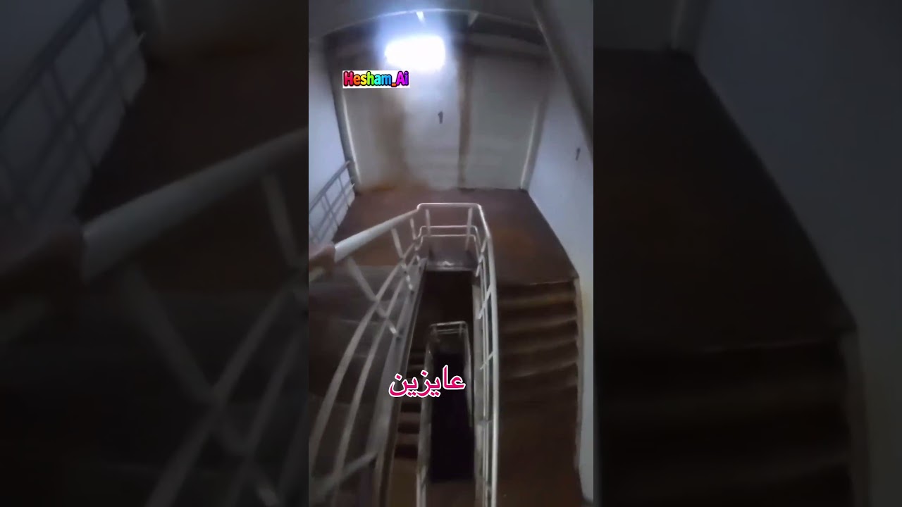 الكلب وقع من فوق! جريت ونطيت من على السلم عشان أنقذه🐶😂 #viral #shorts