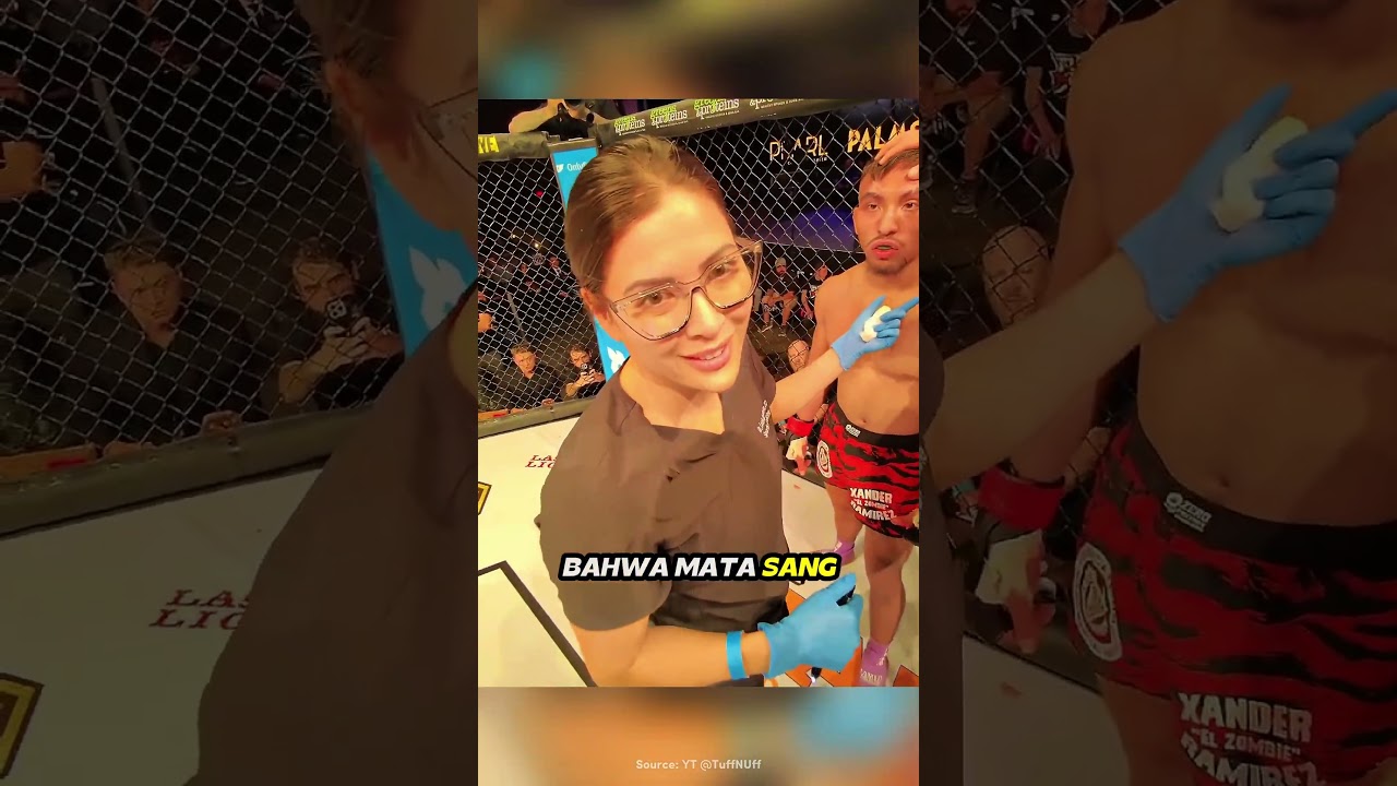 Pertarungan MMA dihentikan, penonton kecewa!! #informatif #faktaunik