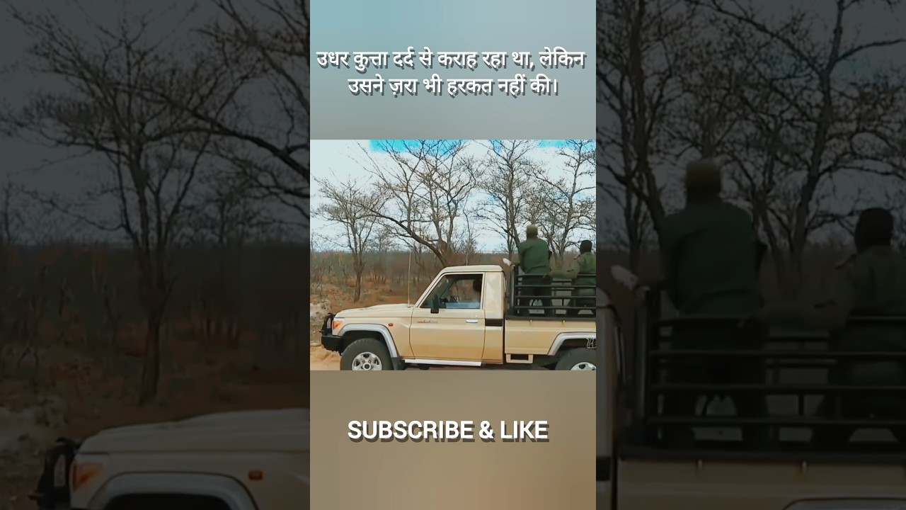 उधर कुत्ता दर्द से कराह रहा था, लेकिन उसने ज़रा भी हरकत नहीं की।#short #shorts #trending