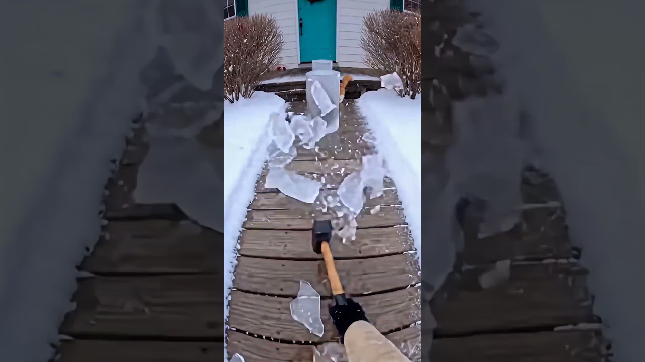 Frozen Cats Trapped in Ice Block 🧊❄️ #rescue #animals - Published by Phil Franco 