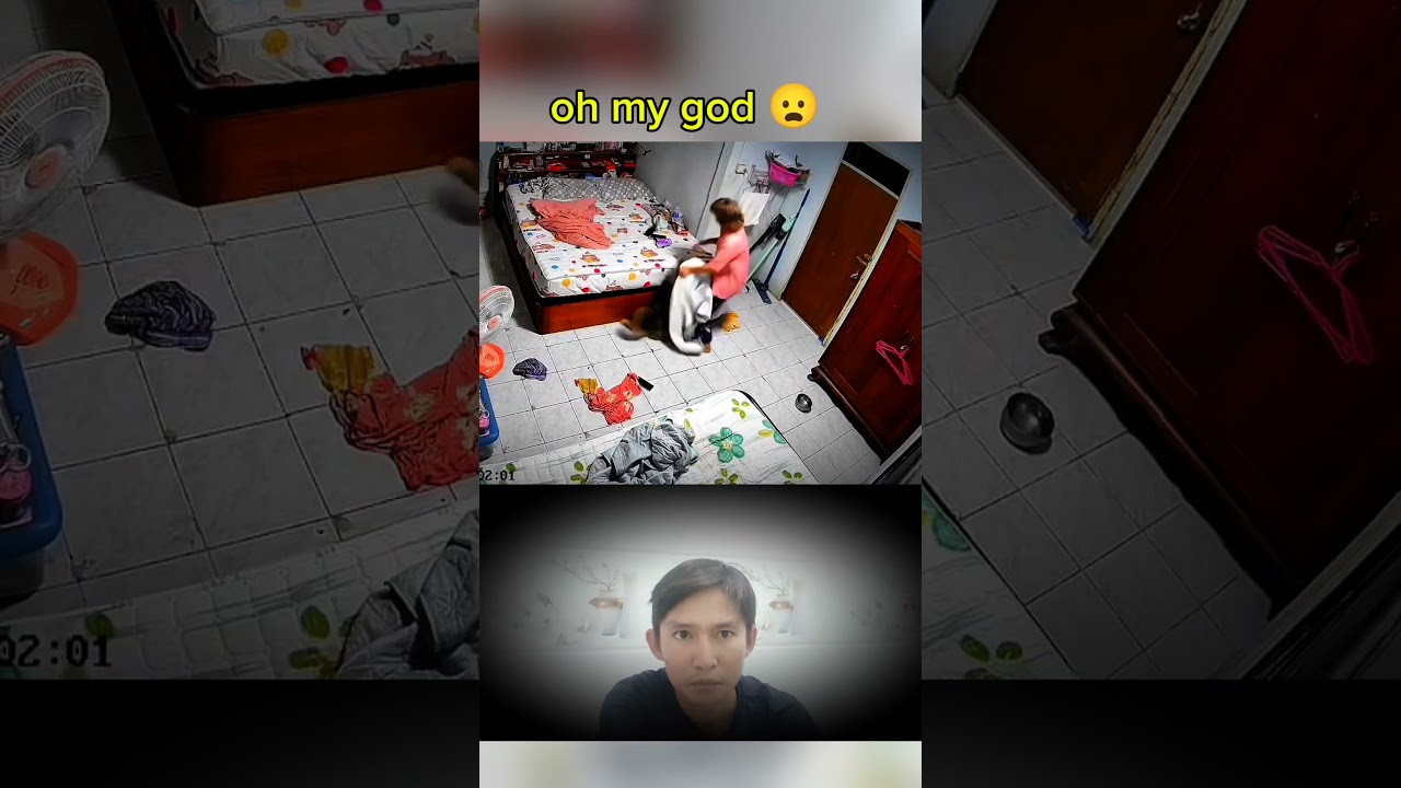 oh my god what happened to the dog #dog #animals #shortvideo #short