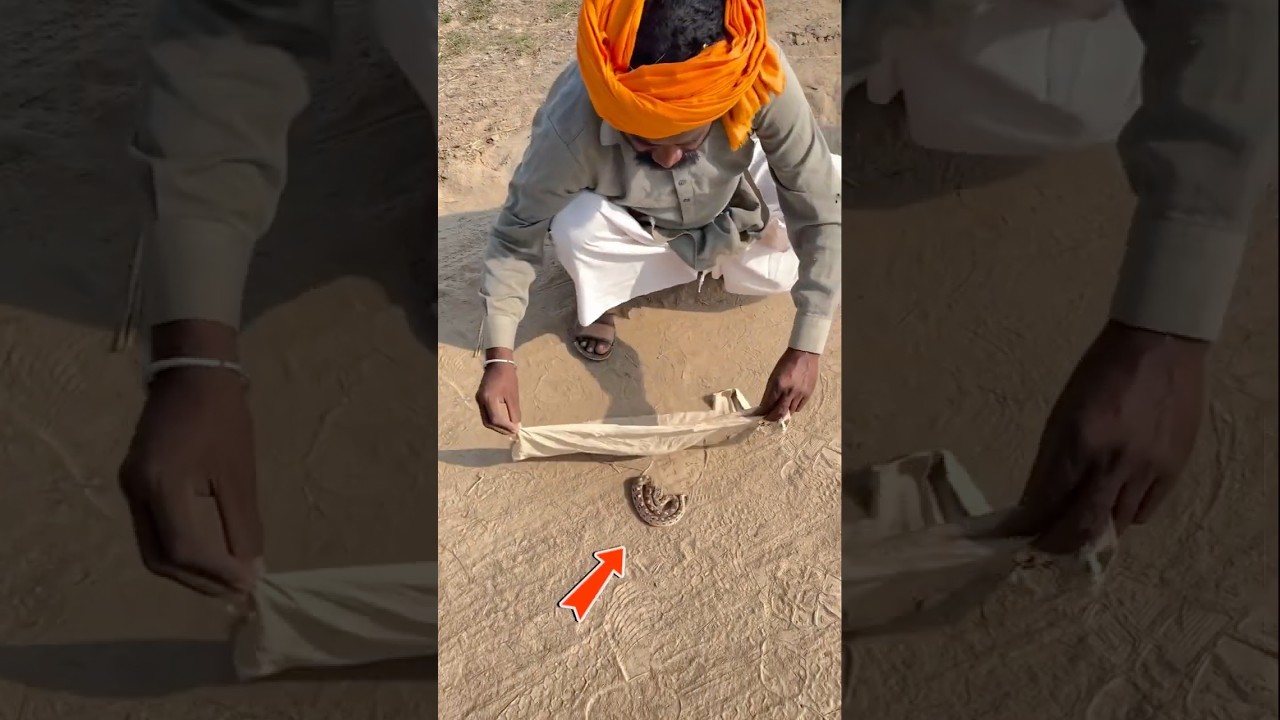 He saved the snake 😱