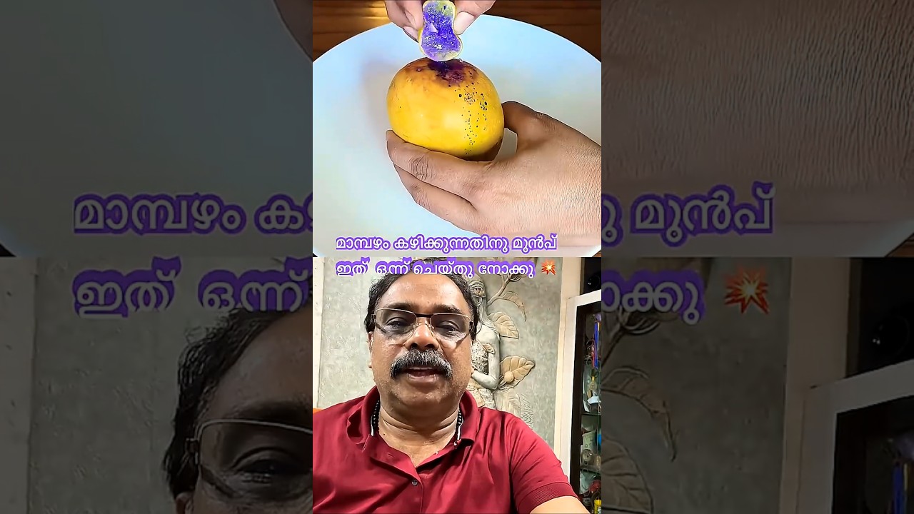 Always test for calcium carbide before eating mangoes🤯😲മാമ്പഴത്തിൽ വിഷമോ🤔#manga #mango #mangofruit