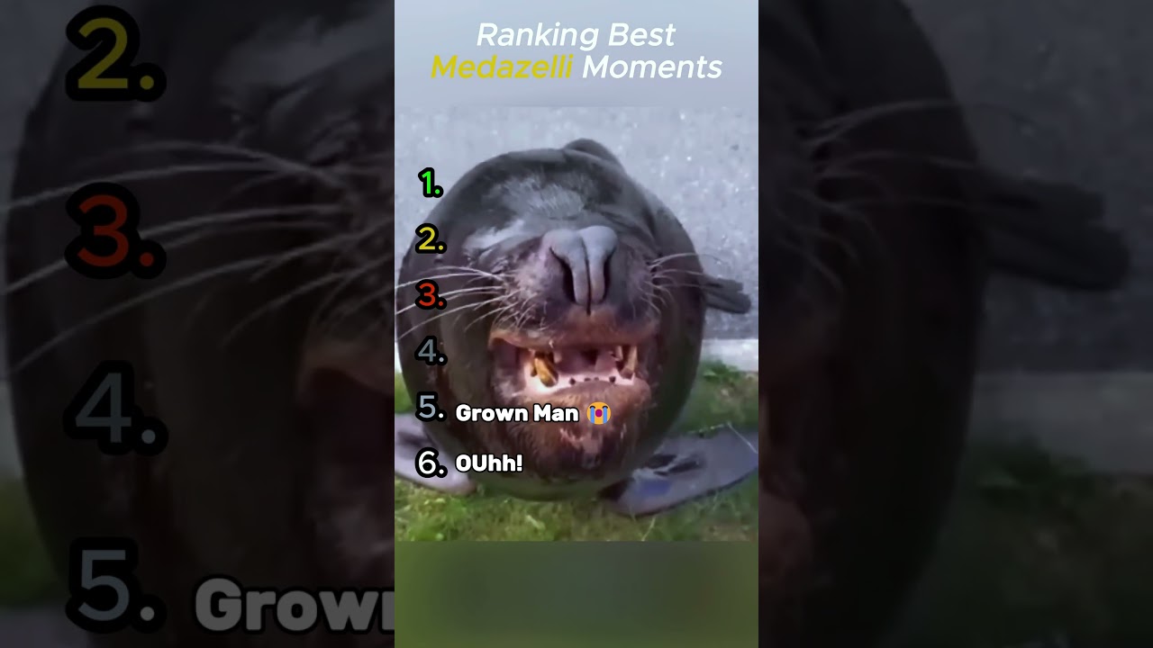 Best Medazelli Moments 😂 #funny #tiktok #animals - Published by Petflix