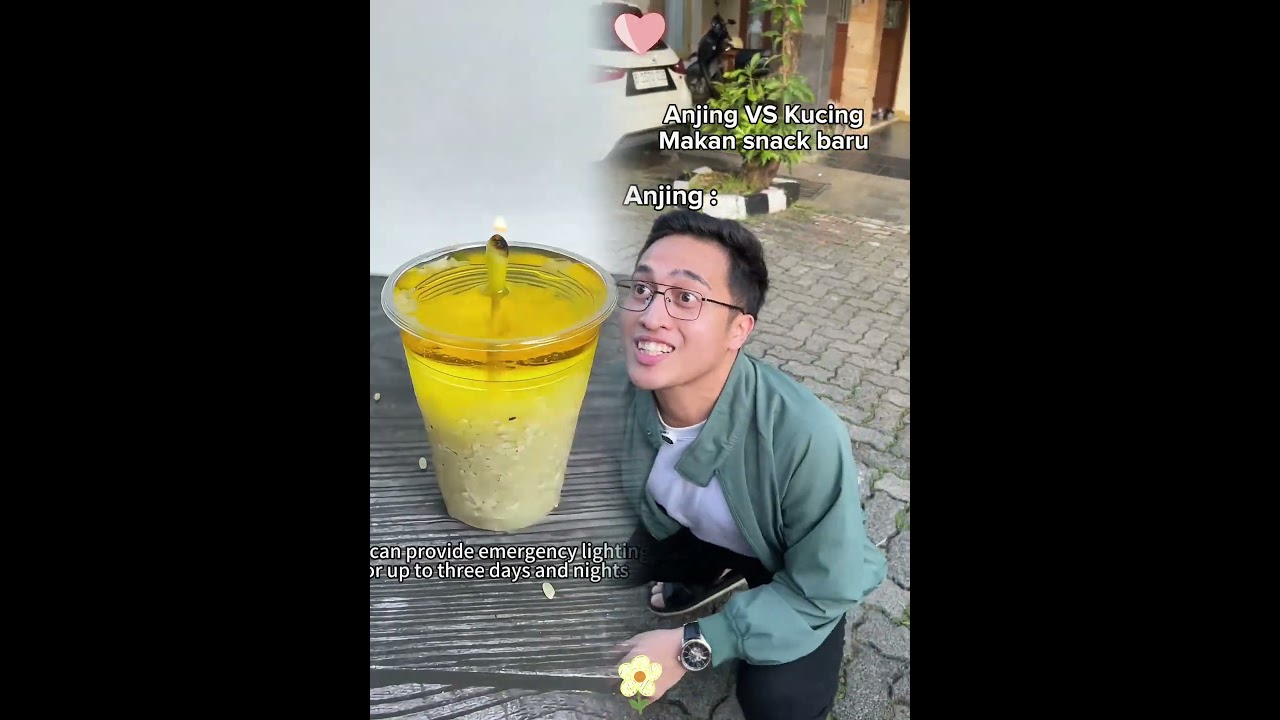 Anjing VS Kucing Makan snack baru #foryou #funny #humor #relatable #kitty #puppy