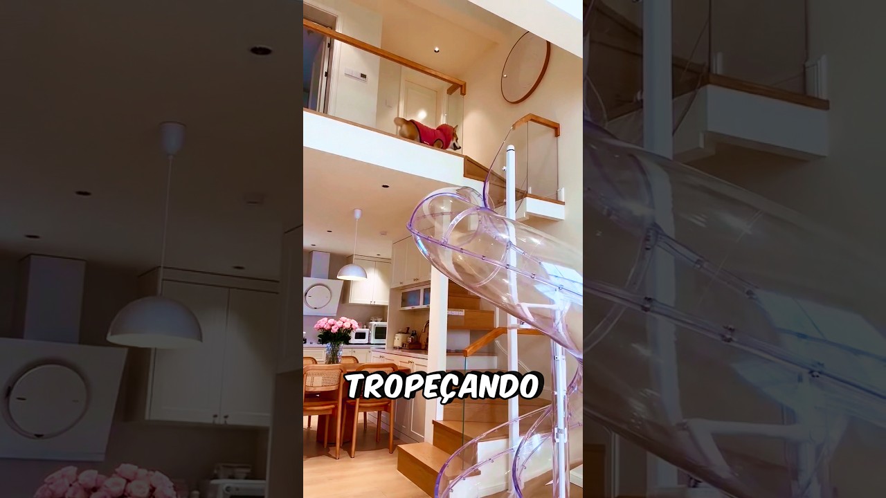 O CÃOZINHO Sempre Tropeça! #curiosidades #incrível #pets