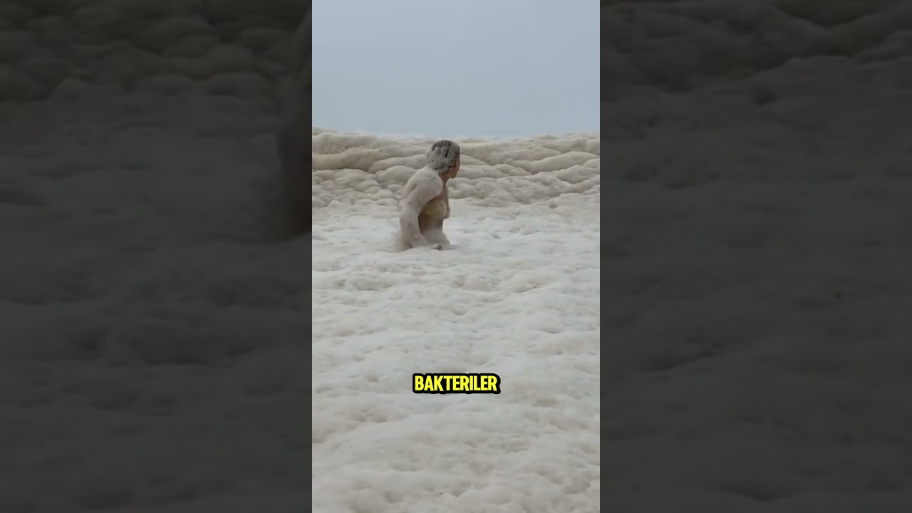 Deniz Köpüğüne Sakın Dokunmayın! 😱
