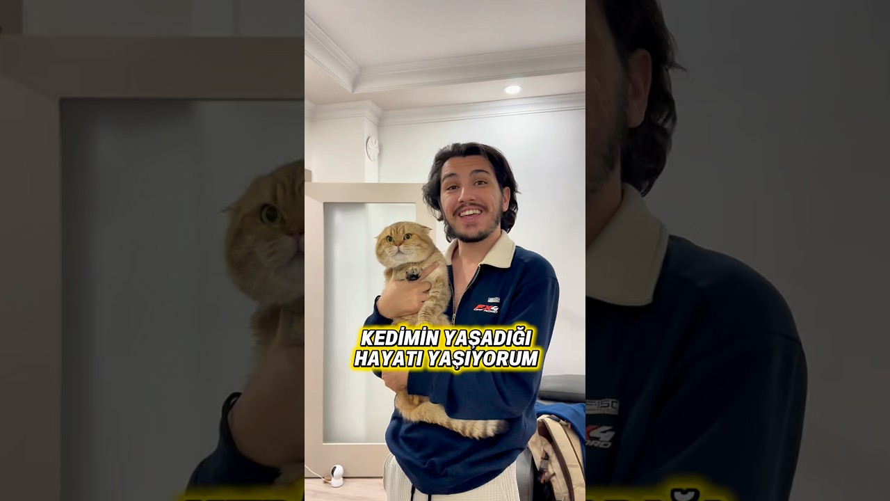 Kedimin yaşadığı hayatı yaşıyorum 😸