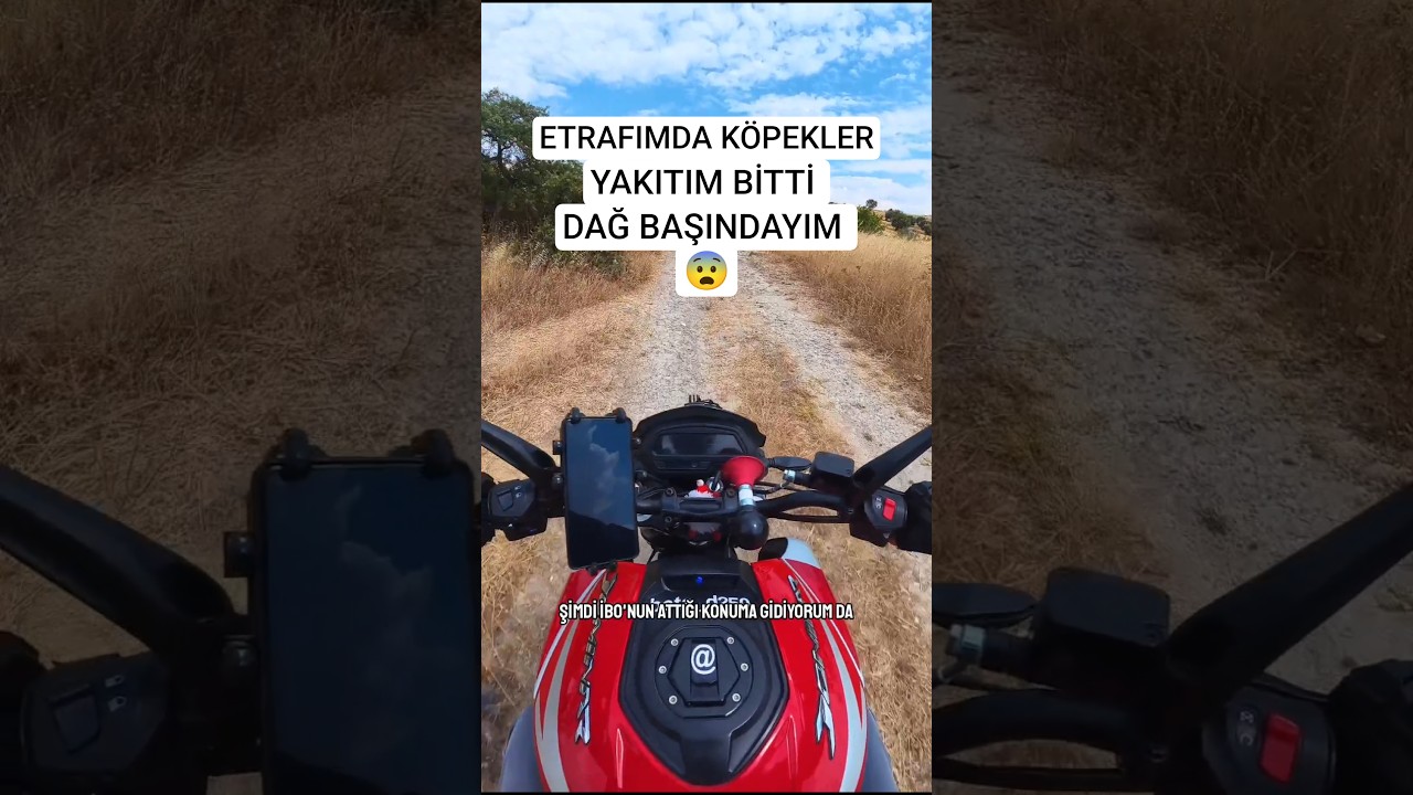 Köpeklere yem oluyorduk az daha