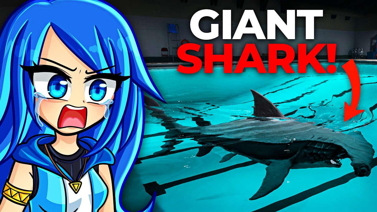 There's a GIANT SHARK in the POOL!
