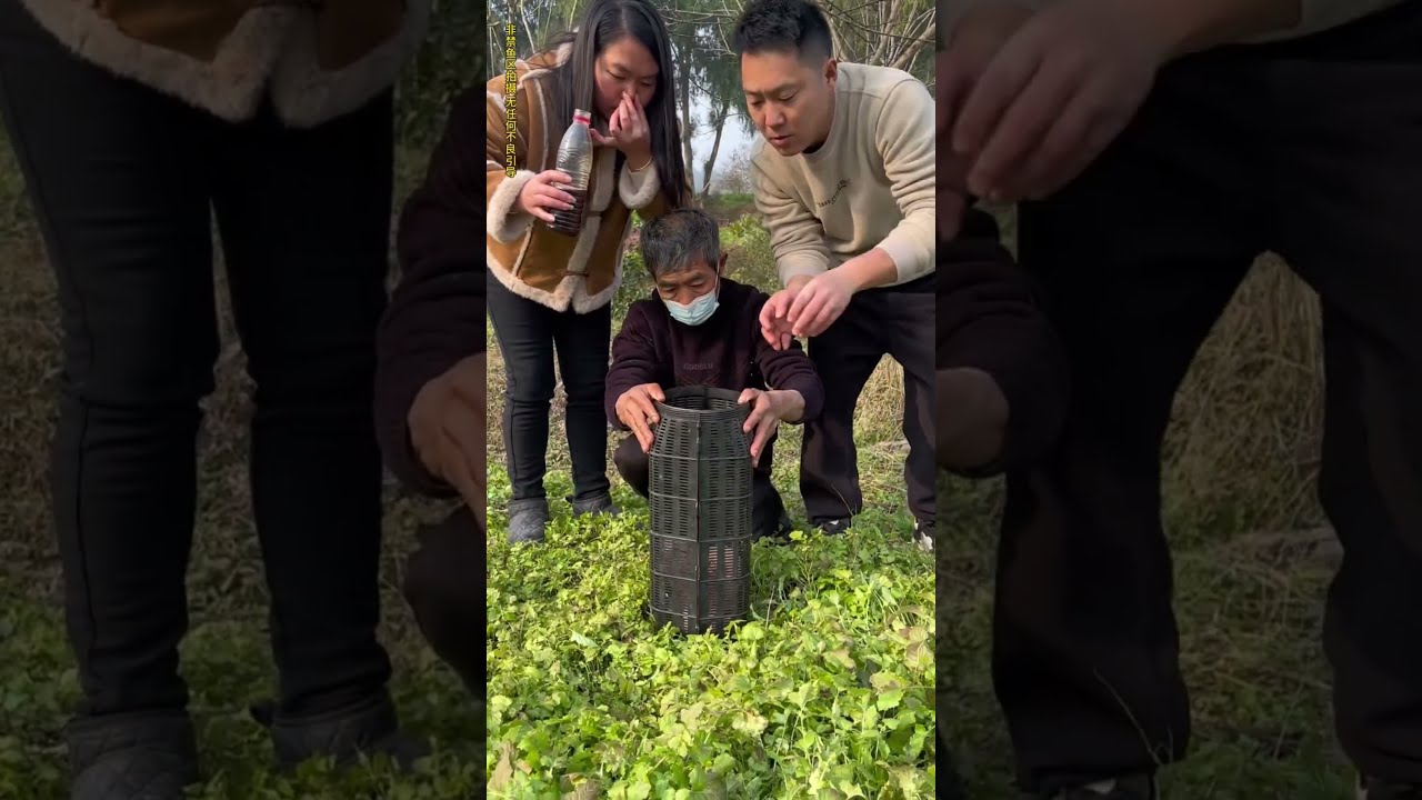 The neighbors were stunned! They caught so many fish using the simplest tools! #fishing #fishinglife