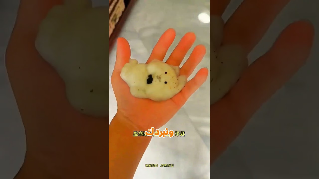 كلب سايح رجع زي الفل 🐶✨