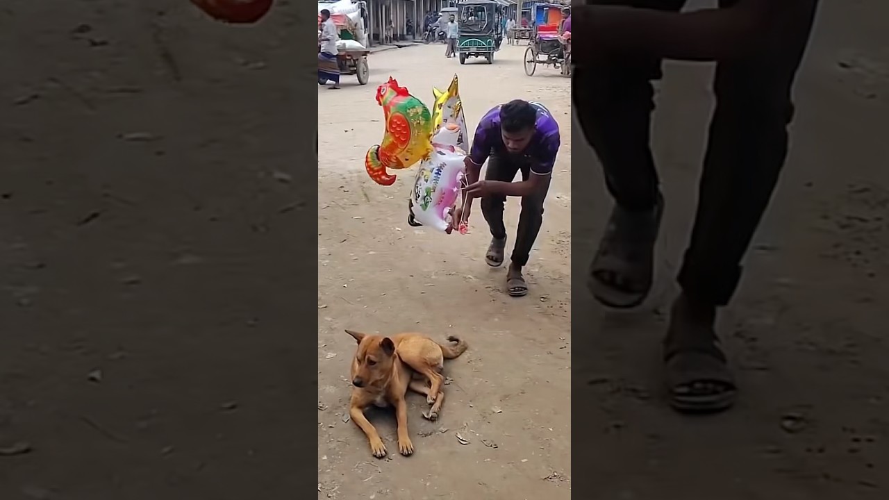 What next? 🤣 #funny #viral #viralvideo #viralshorts #viralshort #comedy