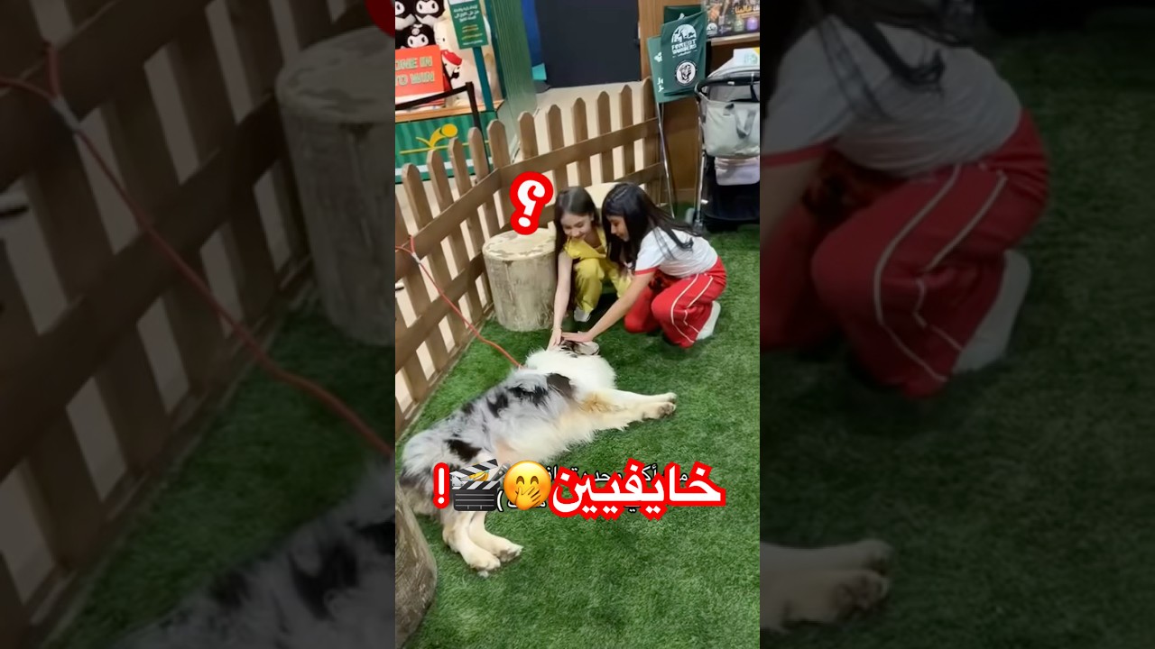 مين يخاف من الحيوانات🤭‎#نيوماكس_جدة #جدة #ملابس #ترند #saudiarabia #تصوير#تمثيل #كواليس_نيوماكس