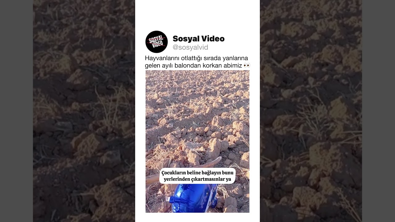 Hayvanlarını otlattığı sırada yanlarına gelen ayılı balondan korkan abimiz 👀