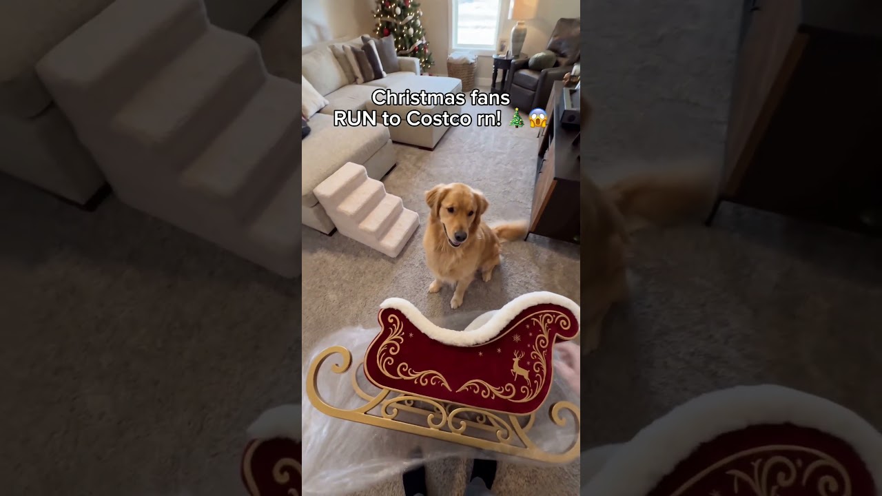 Link in bio!🔗🐶🎄#dogs #dogbed #christmas #pets