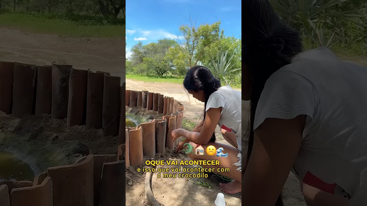 Olha oque vai acontecer com ele !! 🐊😱 #roça #animais #animals #vlog
