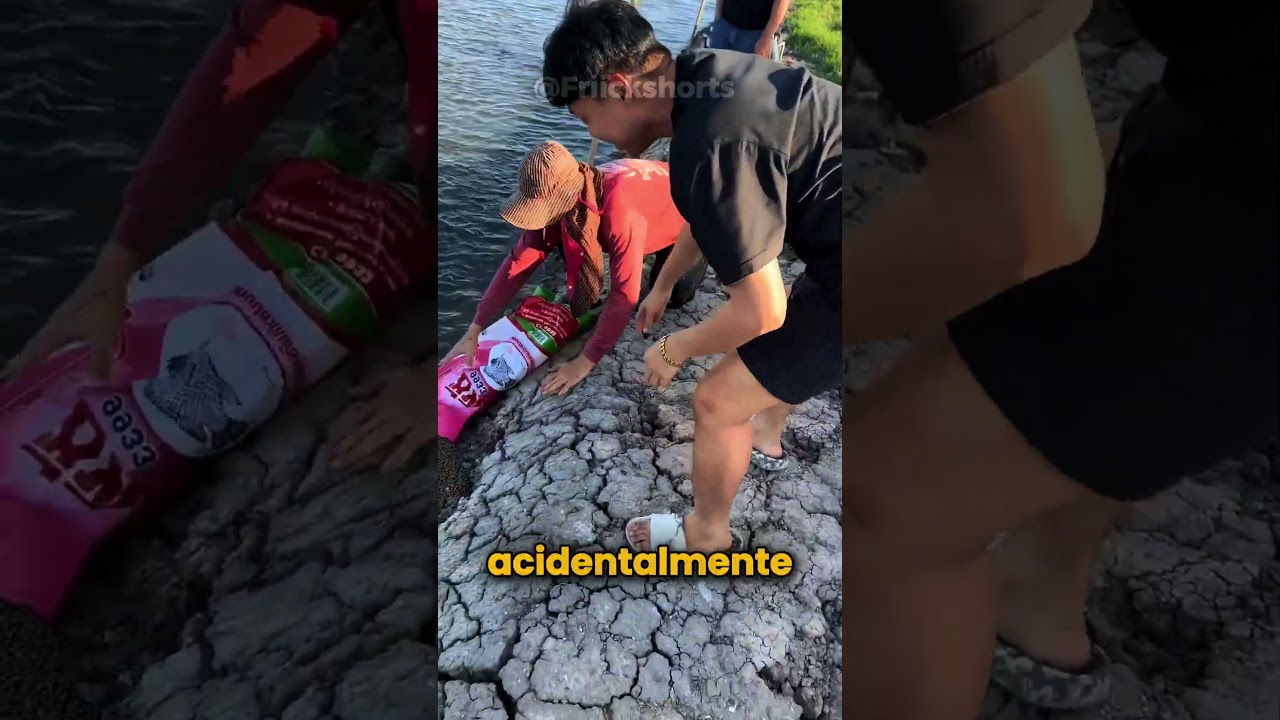 esse foi o dia de sorte desses peixes