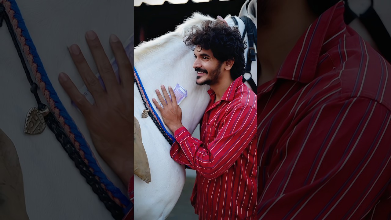 Wafadar ghoda,…👀❤️ #azmaik #reality #humanity #hearttouching #emotional #kind #horse