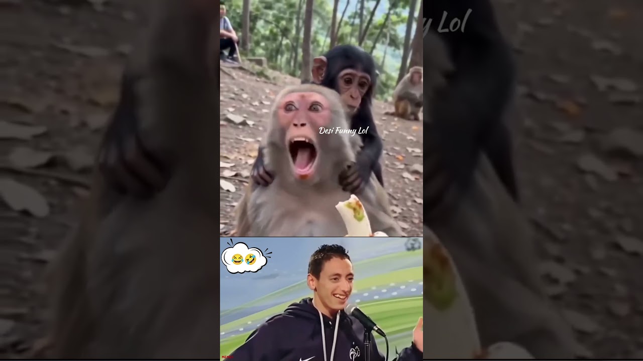 🍌 Bandar Ne Kela Khaya Aur Dost Ne Kiya Surprise 😂🐒 | Funny Monkey Moments #shorts
