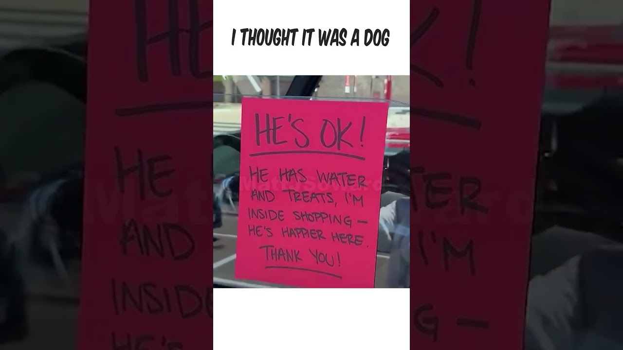 Unexpected Animal Surprise: I Thought It Was a Dog! #Funny #Shorts #FYP