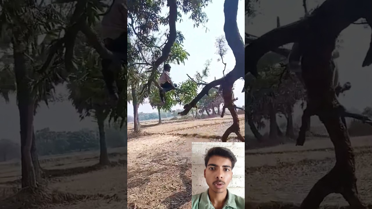 इंसान हो या जानवर प्यार की भाषा हर कोई समझता है 😘 #shorts #viralvideo #viralshorts #trending