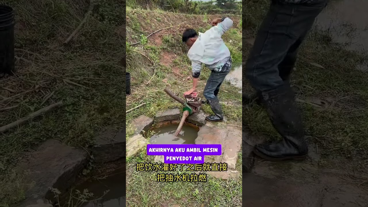 kura kura lepas di sumur tua