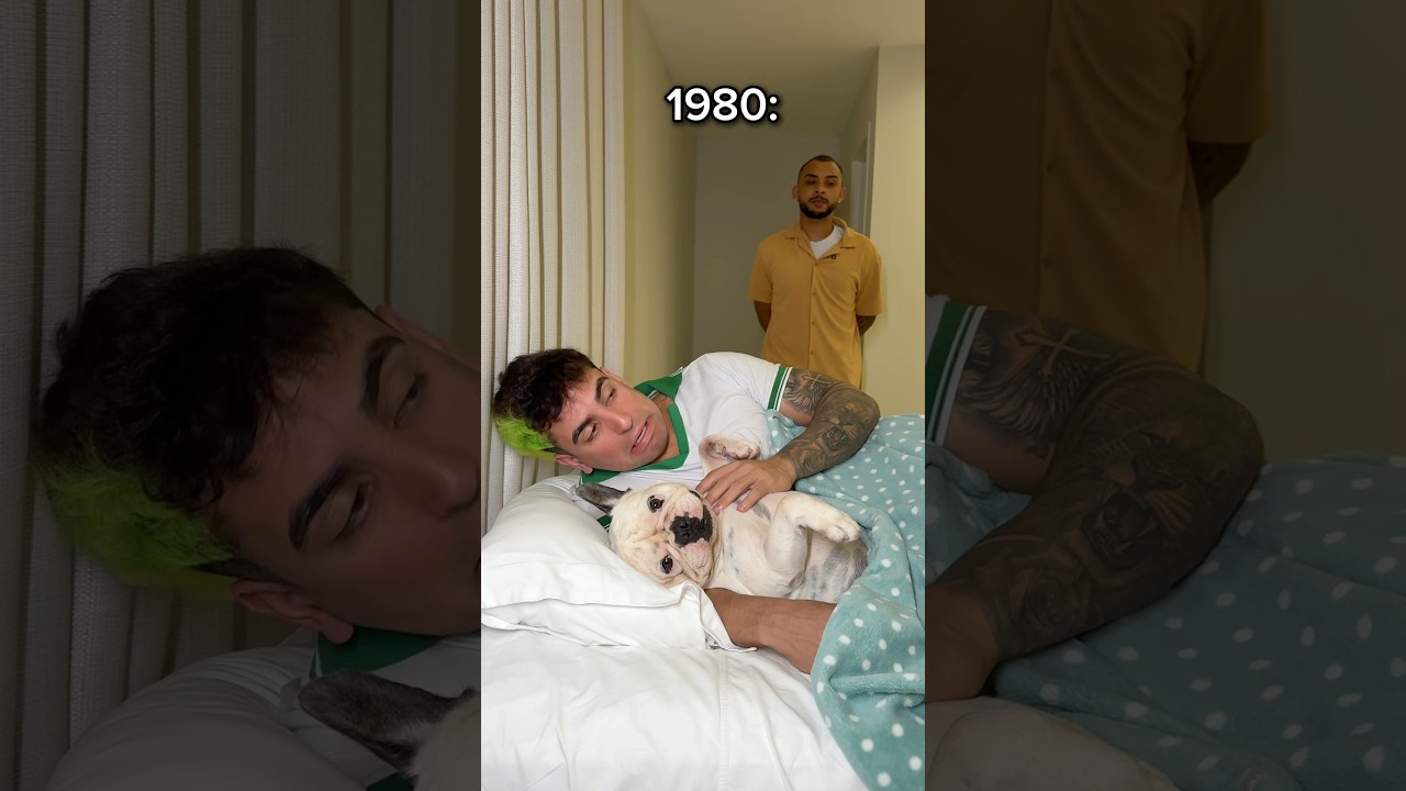 Evolução do cachorro na família 😂