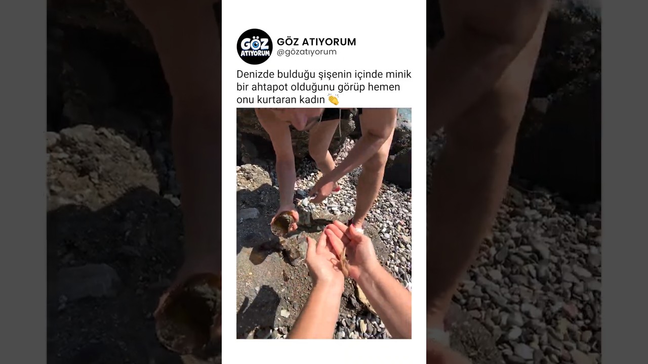 Denizde bulduğu şişenin içindeki minik ahtapotu kurtaran kadın 👏