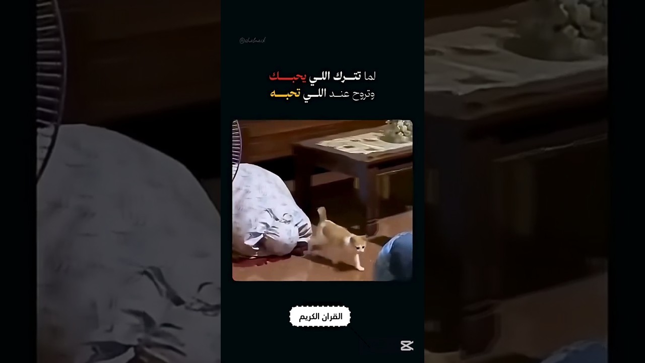 استمع للقران ❤#القرآن_الكريم #shorts