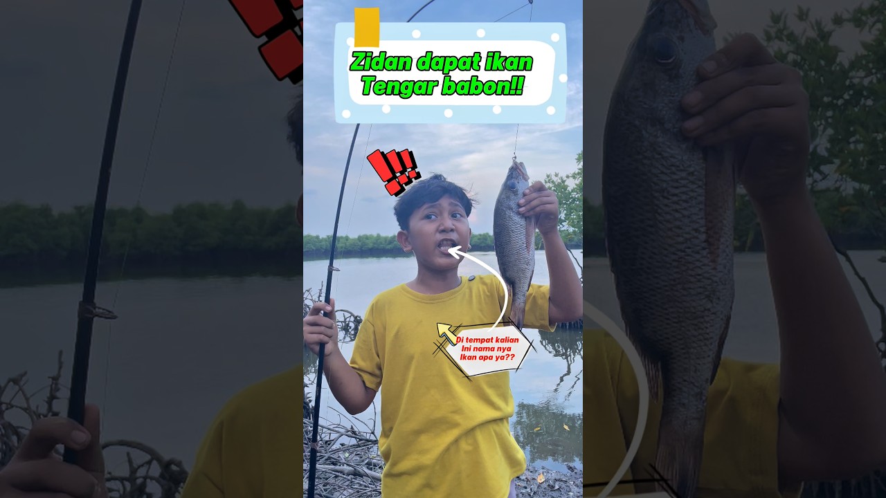 Zidan dapat ikan babon!! #wg25 #comedy #funny#tambakbakau# mancing joran