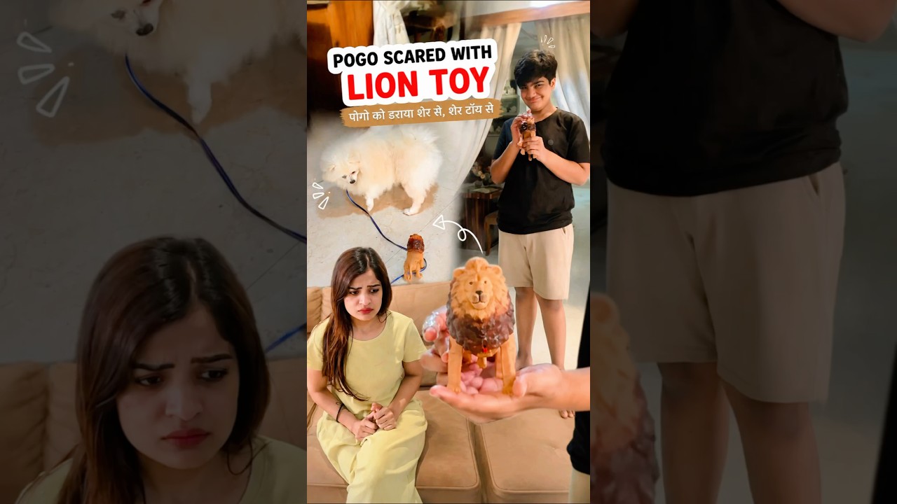 Kya pogo dara LION TOY se🦁🤣🐶 #youtubeshorts #funny #cutedog