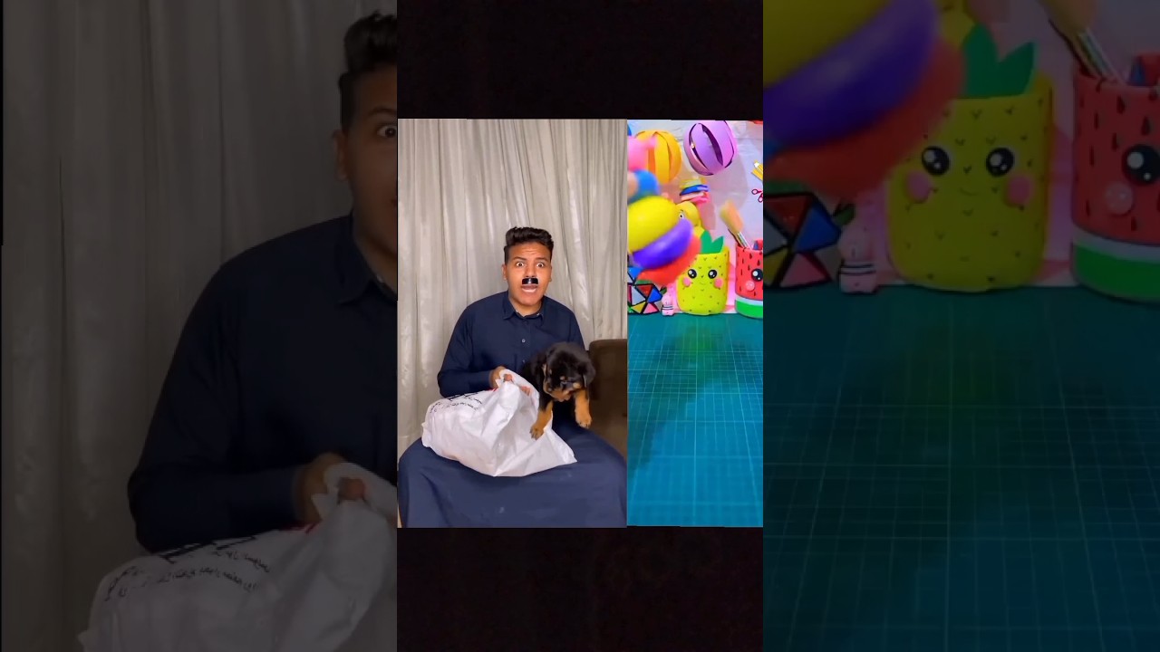 هتموت من الضحك 🤣 لما تجيب كلب البيت😂🐶 . shorts