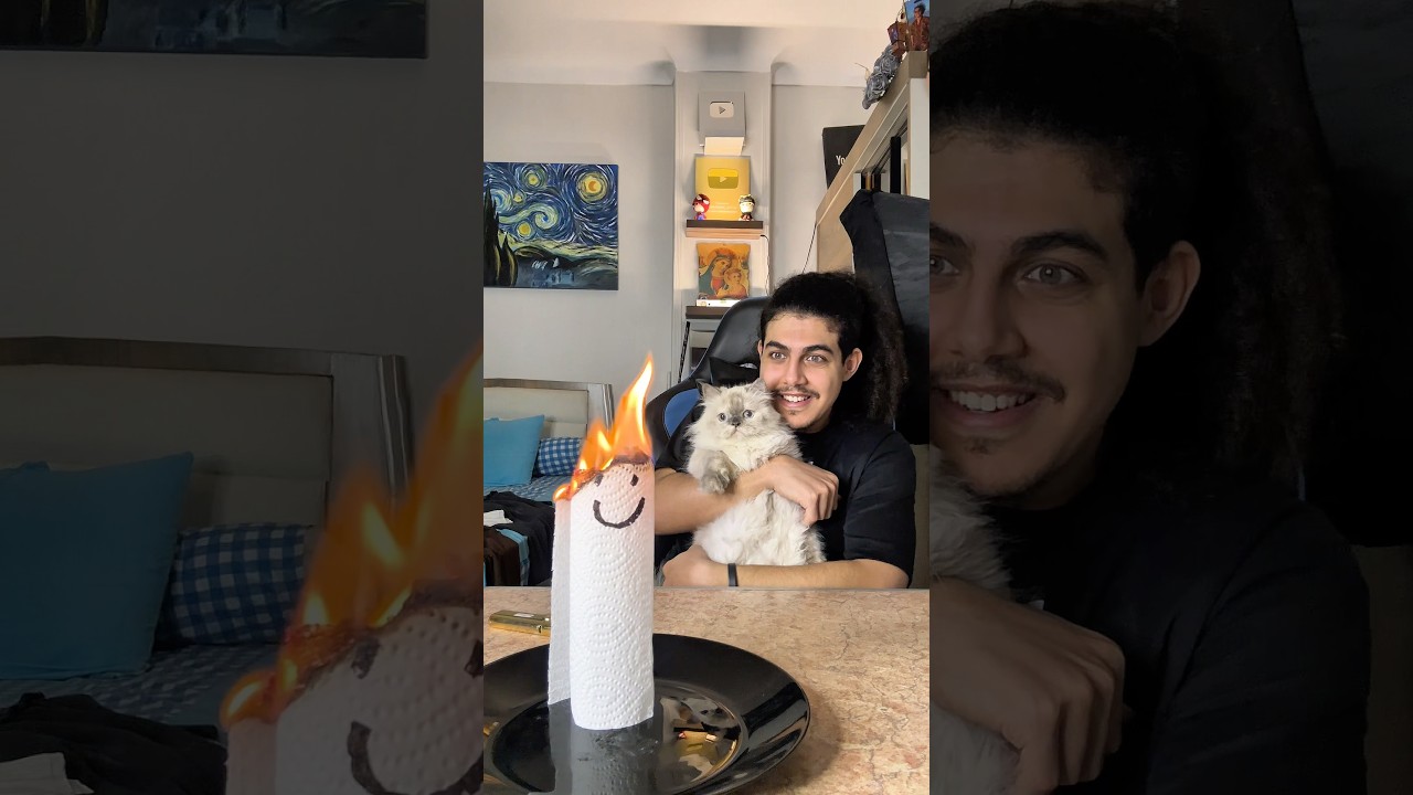 رد فعل القطه على المنديل 🫣🔥