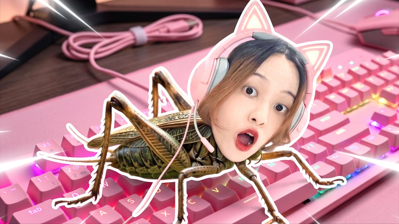 1 Hari Jadi Jangkrik...