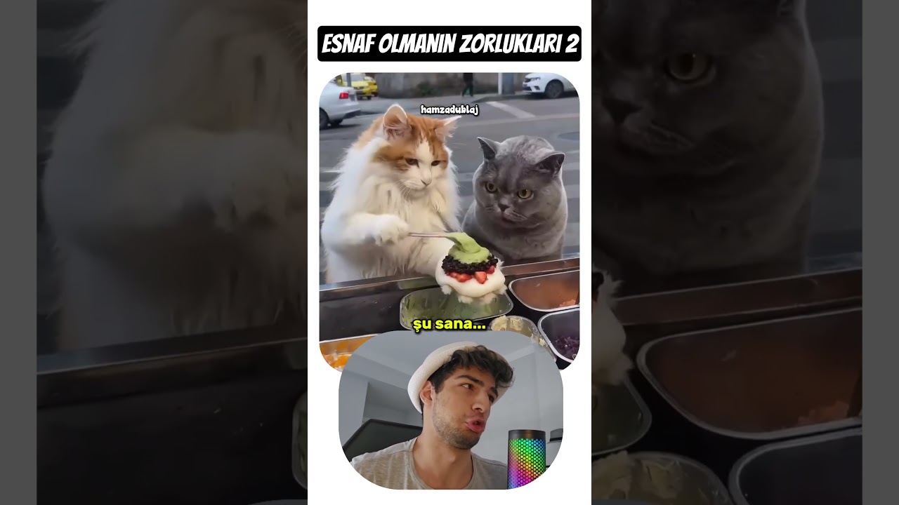 Esnaf Olmanın Zorlukları 2! 🐈