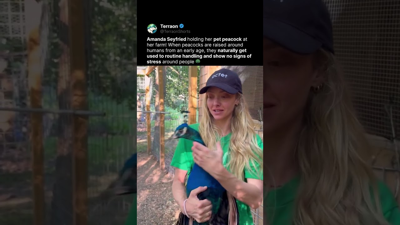 Amanda Seyfried's Pet Peacock 🦚