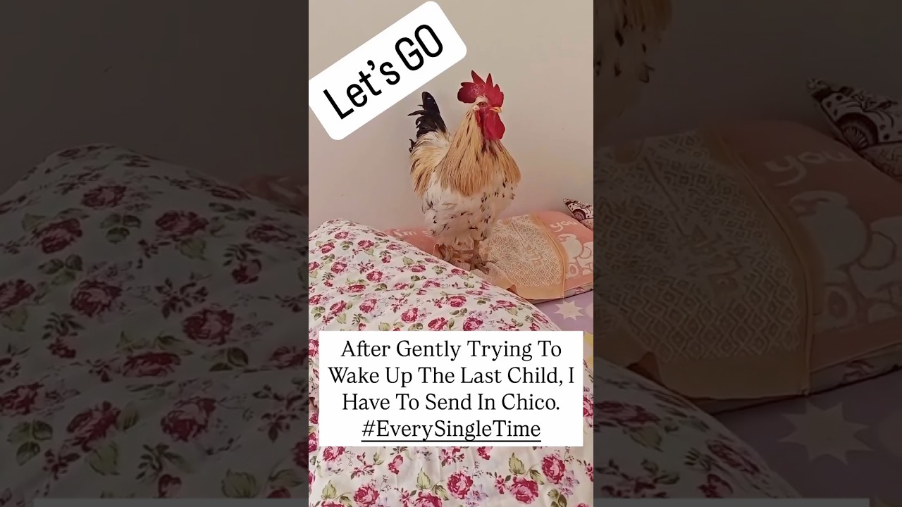 Best alarm clock for kids. 😂 - Published by Lee Houston