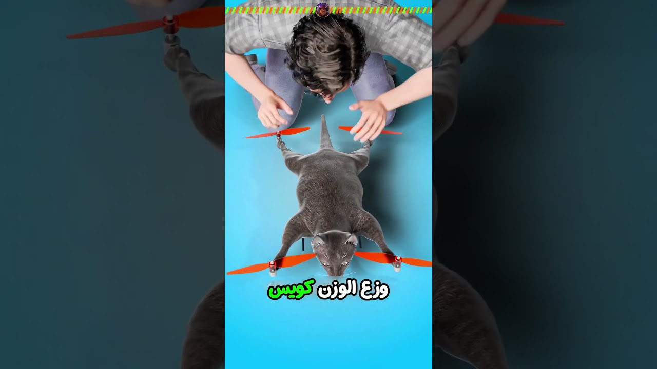 سلخ قطته وحولها لطيارة!😱النهاية مرعبة 💀💥 #الحكيم_زعتر